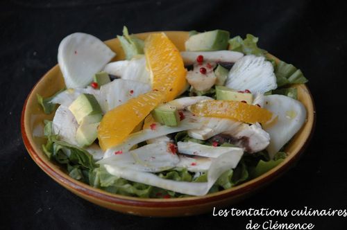 salade-vitaminee-orange-avocat-fenouil-avocat.jpg