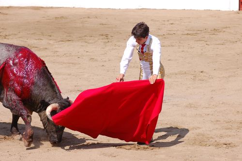 Ceret---Moreno-D-Silva 5723