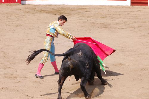 Ceret---Moreno-D-Silva 5777