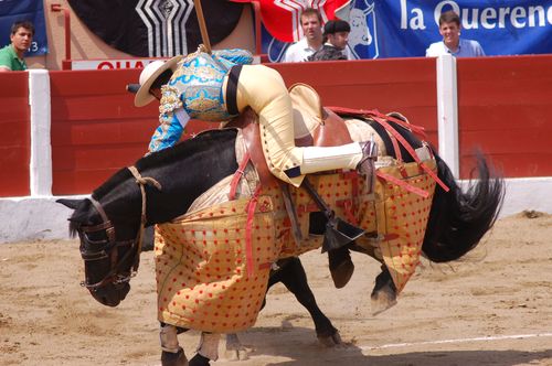 Ceret---Moreno-D-Silva 5783