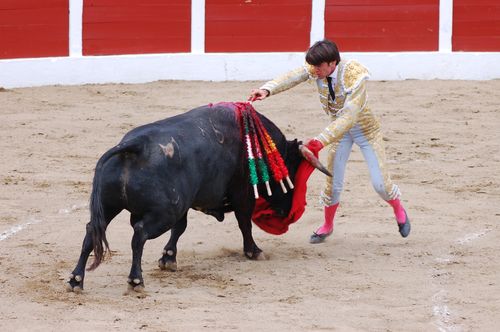 Ceret---Moreno-D-Silva 5818