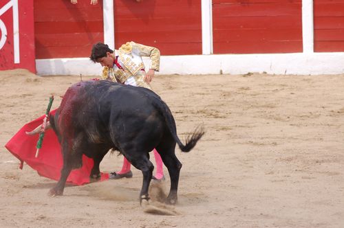 Ceret---Moreno-D-Silva 5842