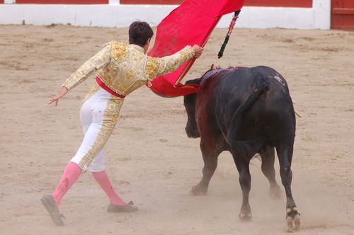 Ceret---Moreno-D-Silva 5848