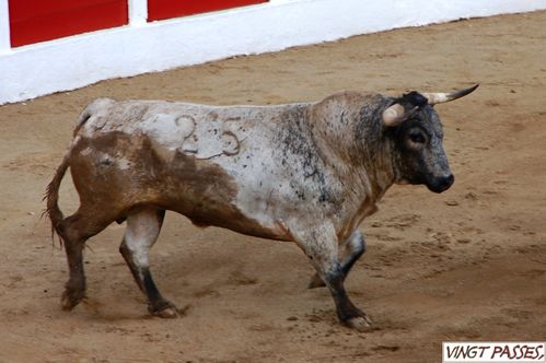 Conde-de-la-Maza 5543