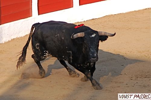 Conde-de-la-Maza 5578