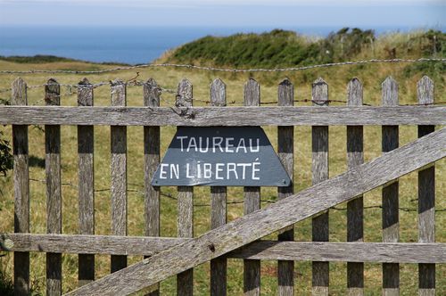 Arene-naturelle.JPG