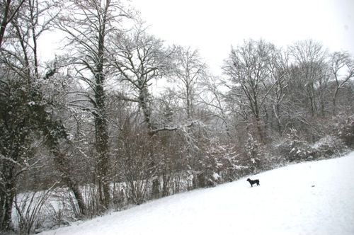 IMGP0057