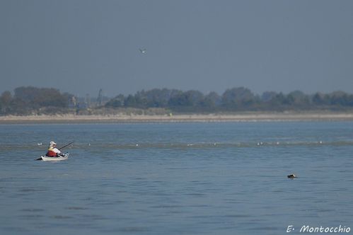 BSCF_1309.jpg