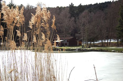 1-0004-copie-1.JPG
