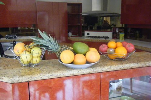 15 février 2010 006