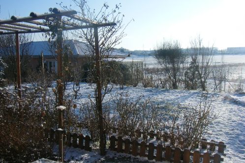 31-janvier-2010-001.jpg