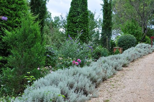 Le-jardin-de-Quercy 0250 (Copier)