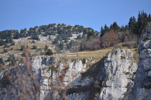 au-dessous-des-rames-nov-2011 0107