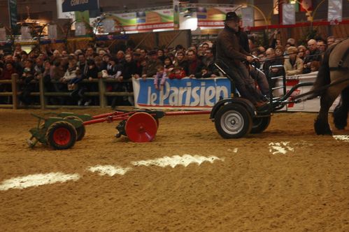 _MG_1018.JPG