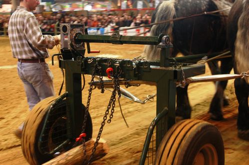 _MG_1094.JPG