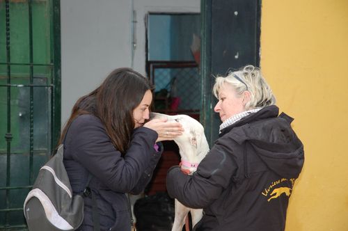 Janvier-2015-0664.JPG