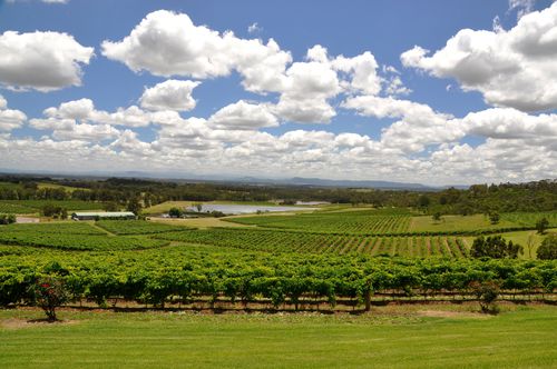 Hunter valley