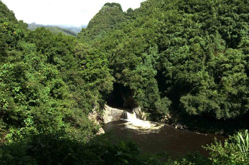 bassin1.jpg