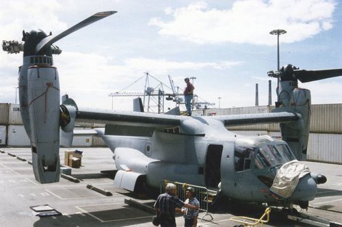 osprey003.jpg