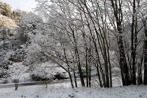 neige2012-6944.jpg
