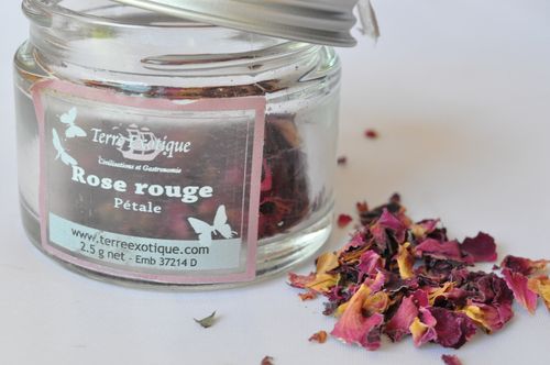 petale rose rouge