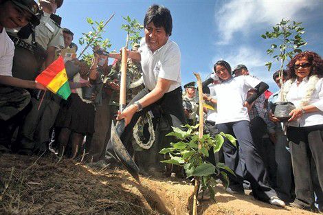 Bolivie-la- reforestation