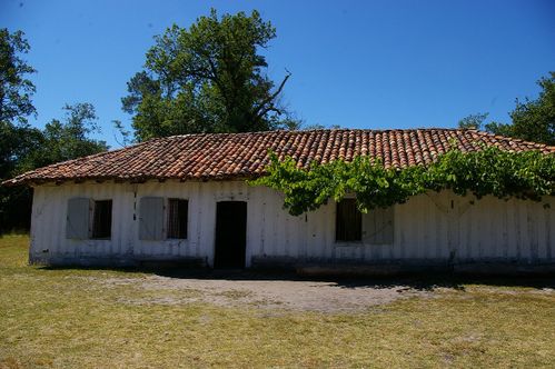 SG1L7459.jpg