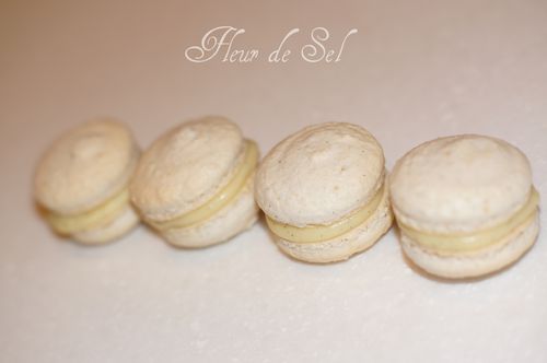 Macarons vanille 5