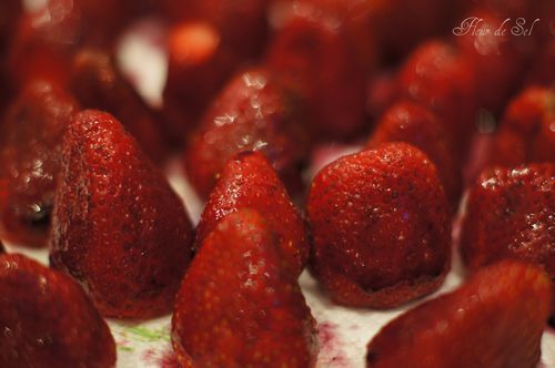 fraises + gelee pour tarte