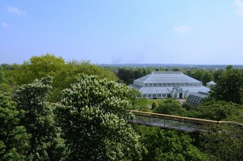 Londres Kew_Gardens4