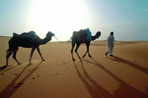 L-Amour-selon-Ibn-Arabi.jpg