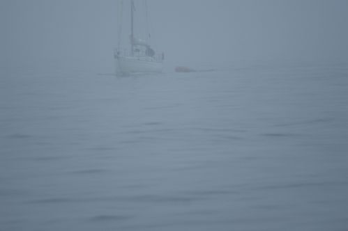 DSC01880.JPG