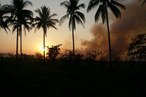 El Salvador (10)