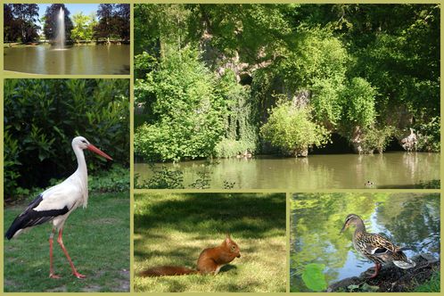 2011-05-06-ORANGERIE--challenge-cuisine.jpg