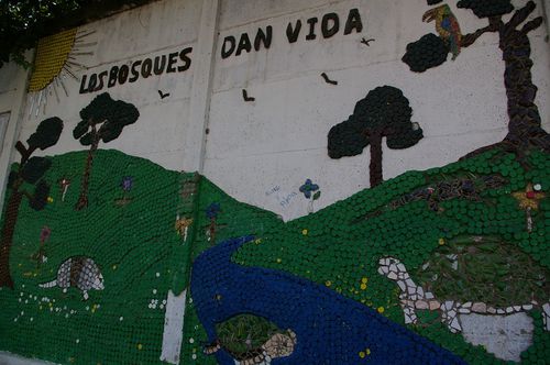 IMGP7961