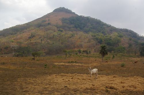 IMGP7979