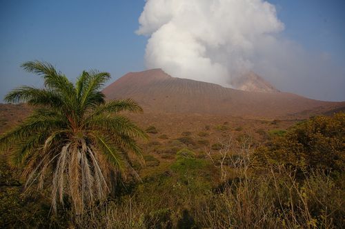 IMGP8054