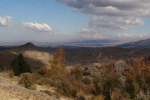 IMGP7455