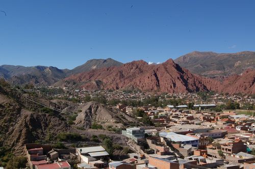 IMGP6880