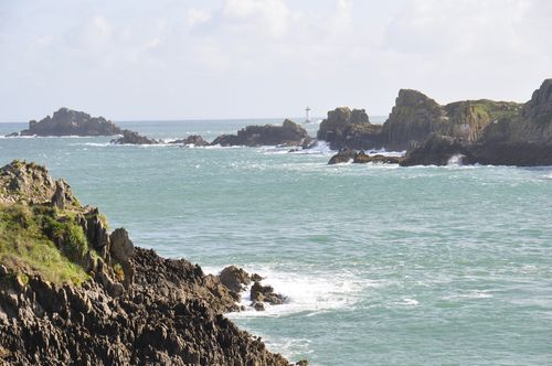 _DSC5285.JPG