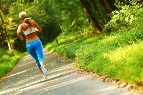 Download Joggen im wald spruch For iPhone