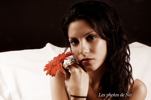 DSC04052r2 copie