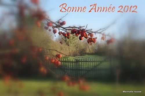 Bonne-Annee