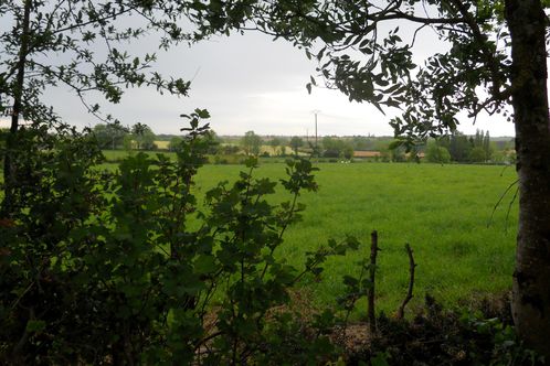 0517-copie-1