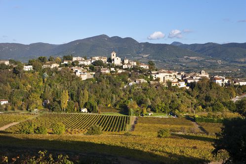 vinsobres christophegrilhé