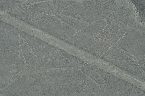 Nazca 017