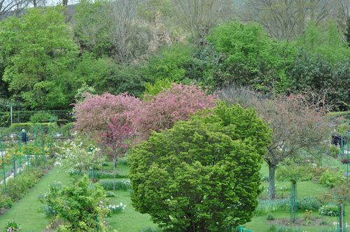 giverny-26.04.12-167.JPG