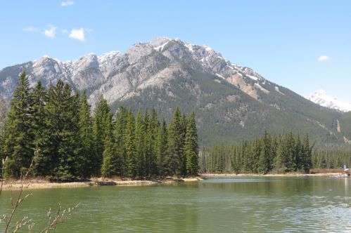 39. Bow River