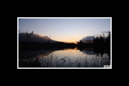 IMG 1705 GF 1