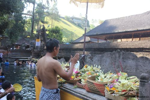 BALI-SUITE 2119-WEB